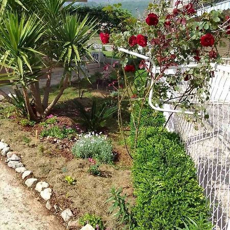 Guesthouse Djurisic Χέρτσεγκ Νόβι Εξωτερικό φωτογραφία