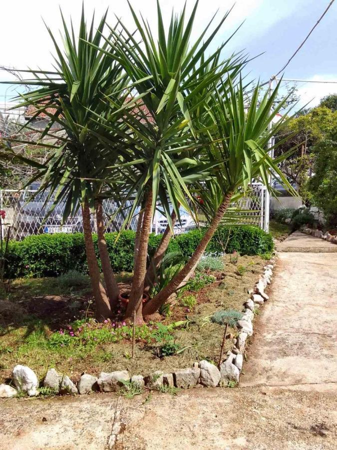 Guesthouse Djurisic Χέρτσεγκ Νόβι Εξωτερικό φωτογραφία