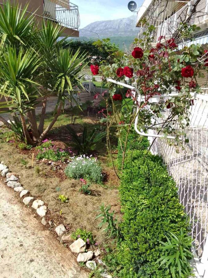 Guesthouse Djurisic Χέρτσεγκ Νόβι Εξωτερικό φωτογραφία